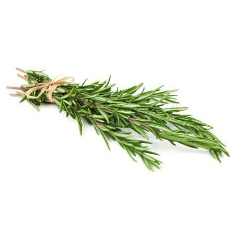 rosemary